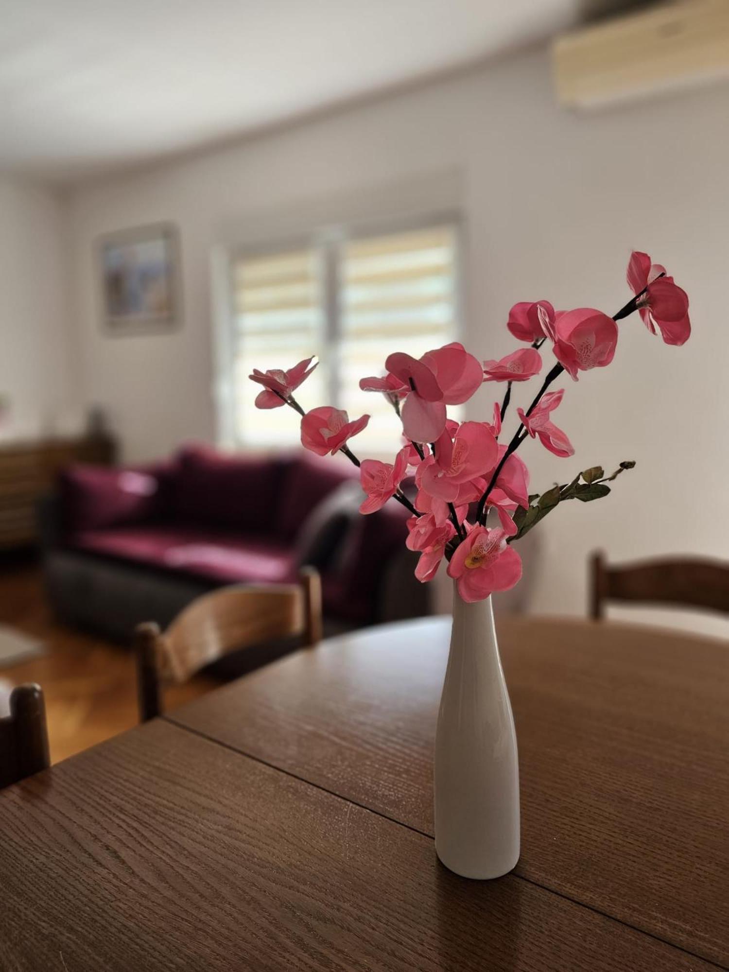 Apartment Vesna Podaca Extérieur photo